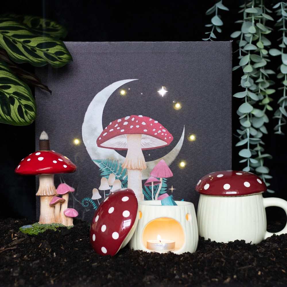 Something Different - Mushroom Backflow Incense burner - Multicolours